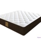 Матрас DreamLine King Tradition Soft TFK 200х200